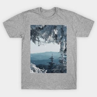 Winter Frame T-Shirt